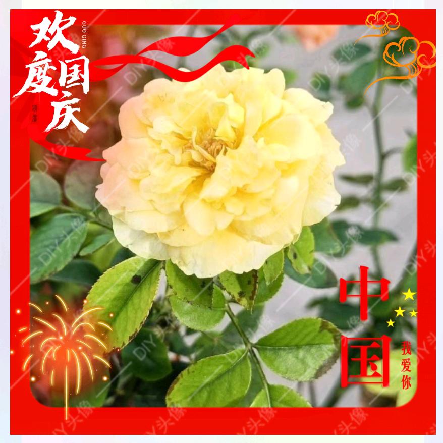 轻周已过万重山