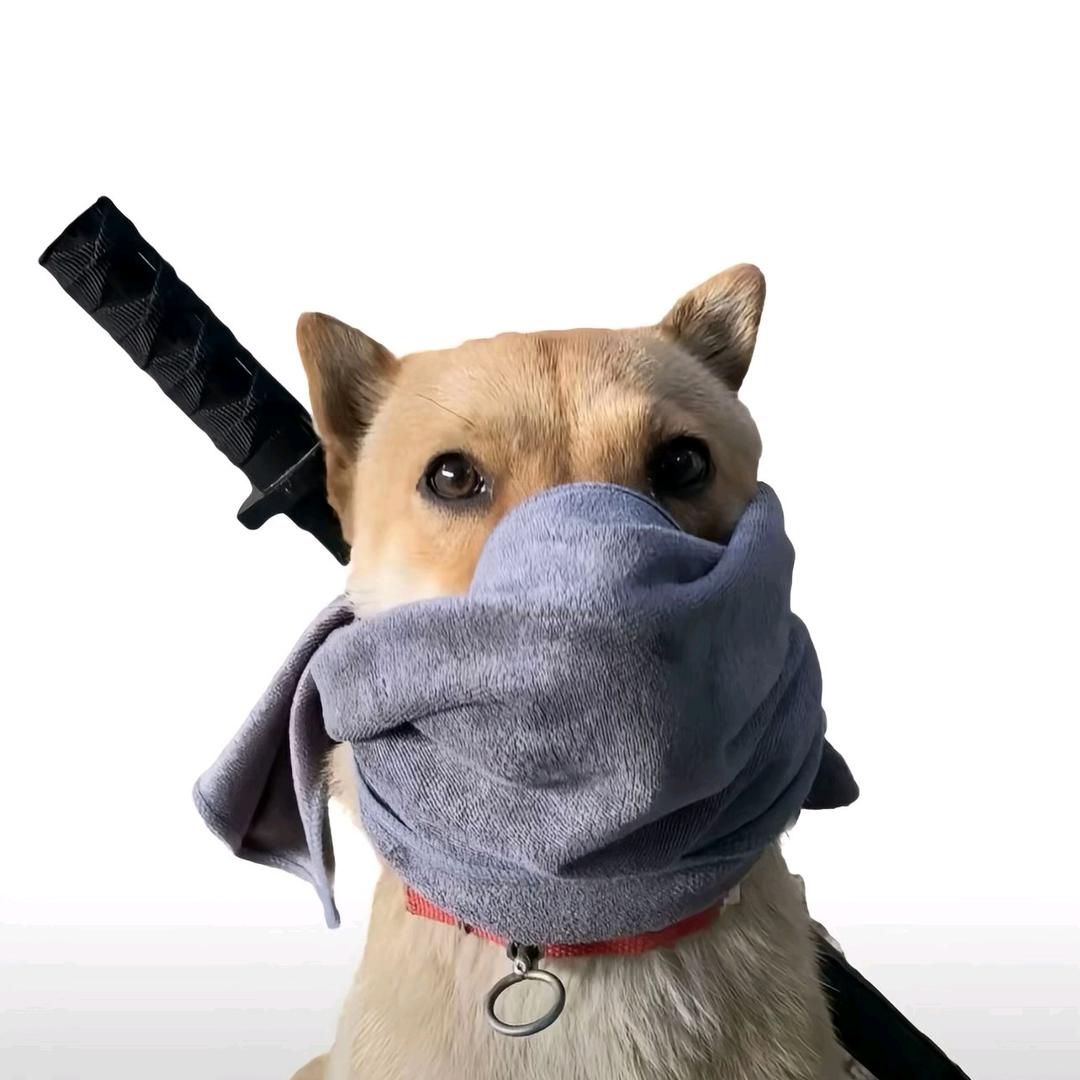 狮心