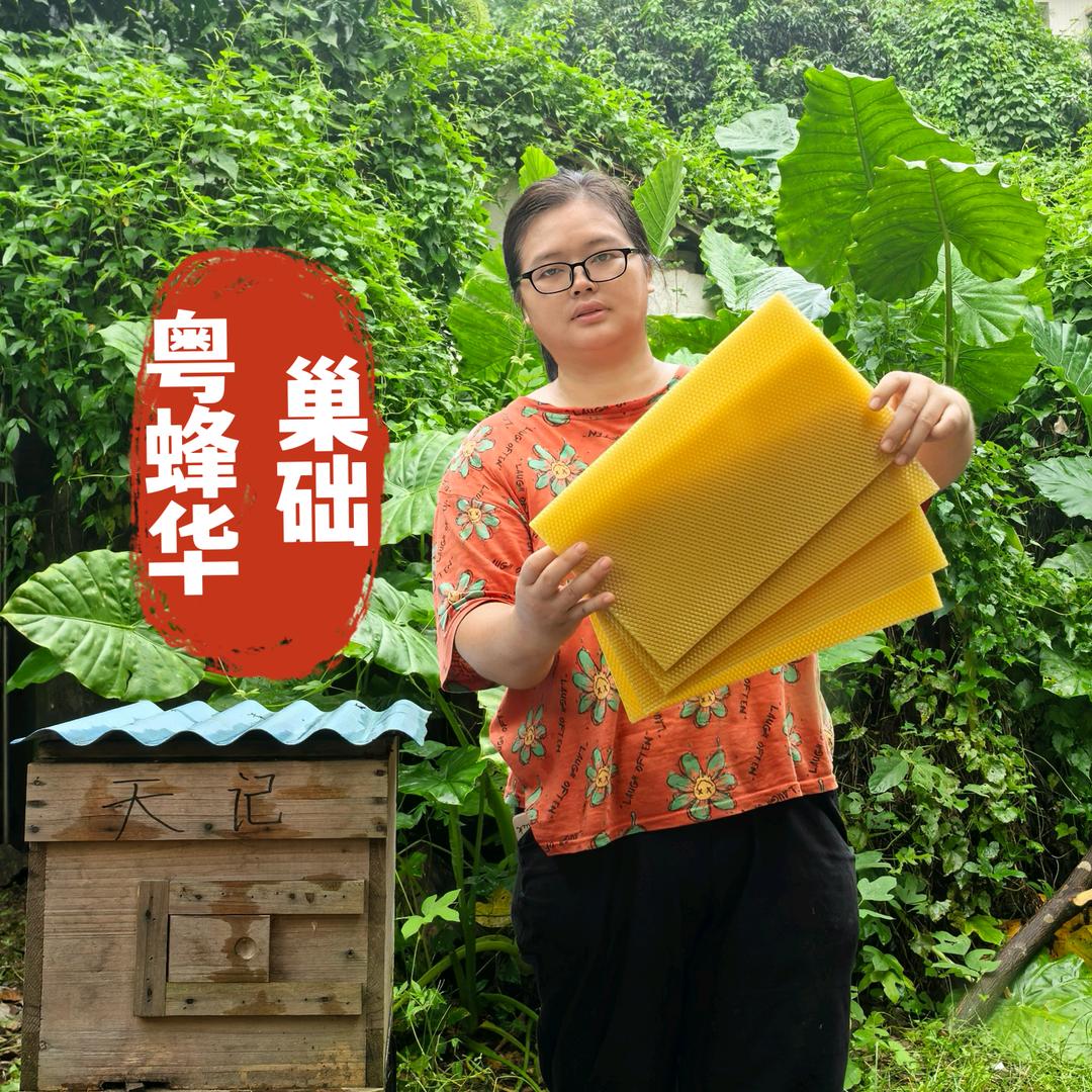 粤蜂华中蜂原蜡巢础