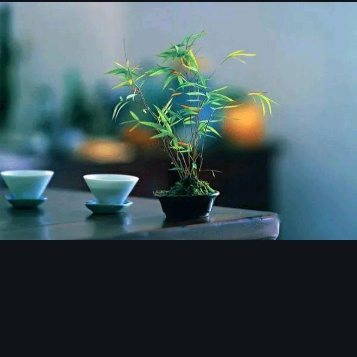 一杯清茶 两三损友