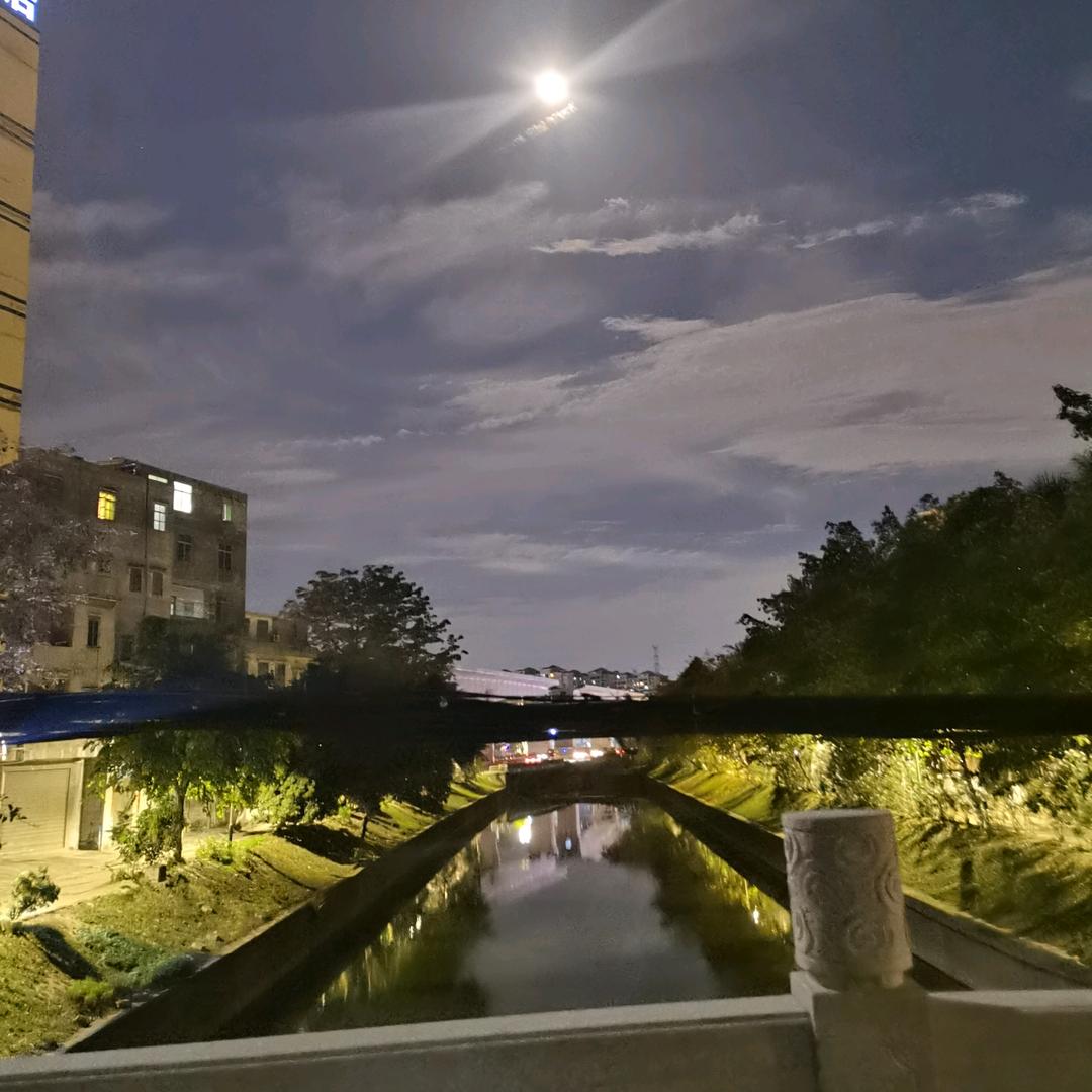 愛需盡興情難安