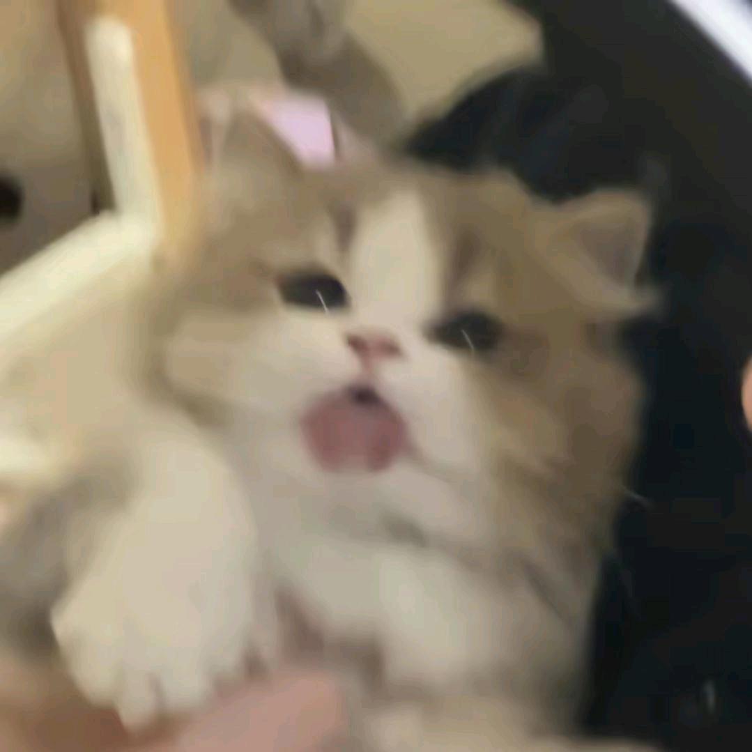 11111