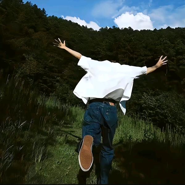 风逝