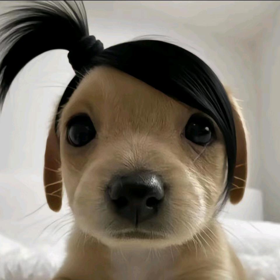 土豆
