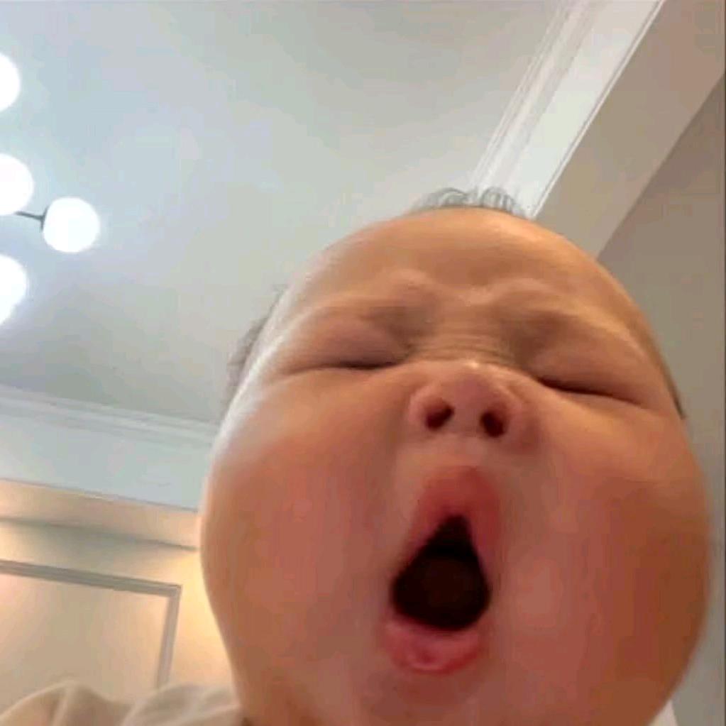 养鸡达人