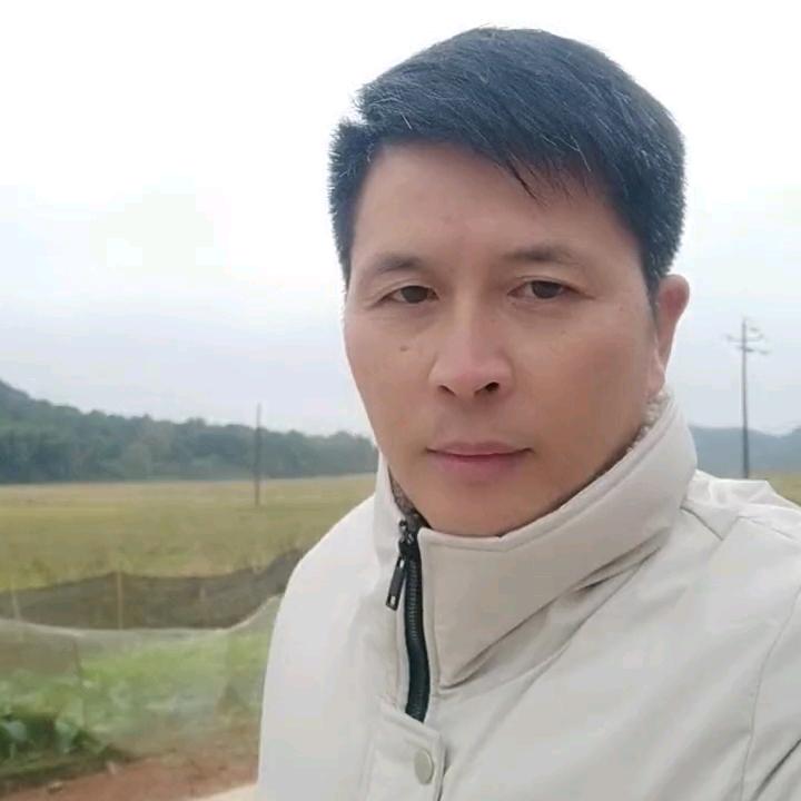 装修外墙，内墙