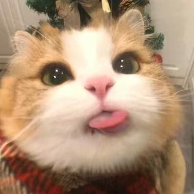 AAA草莓批发张哥