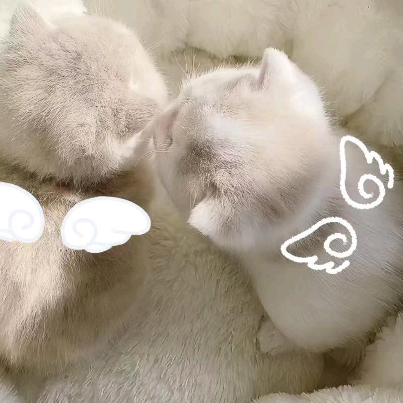 偷穿邻居起球内裤