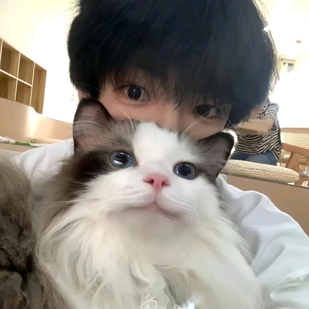 仁川醉(见过徐佳莹版