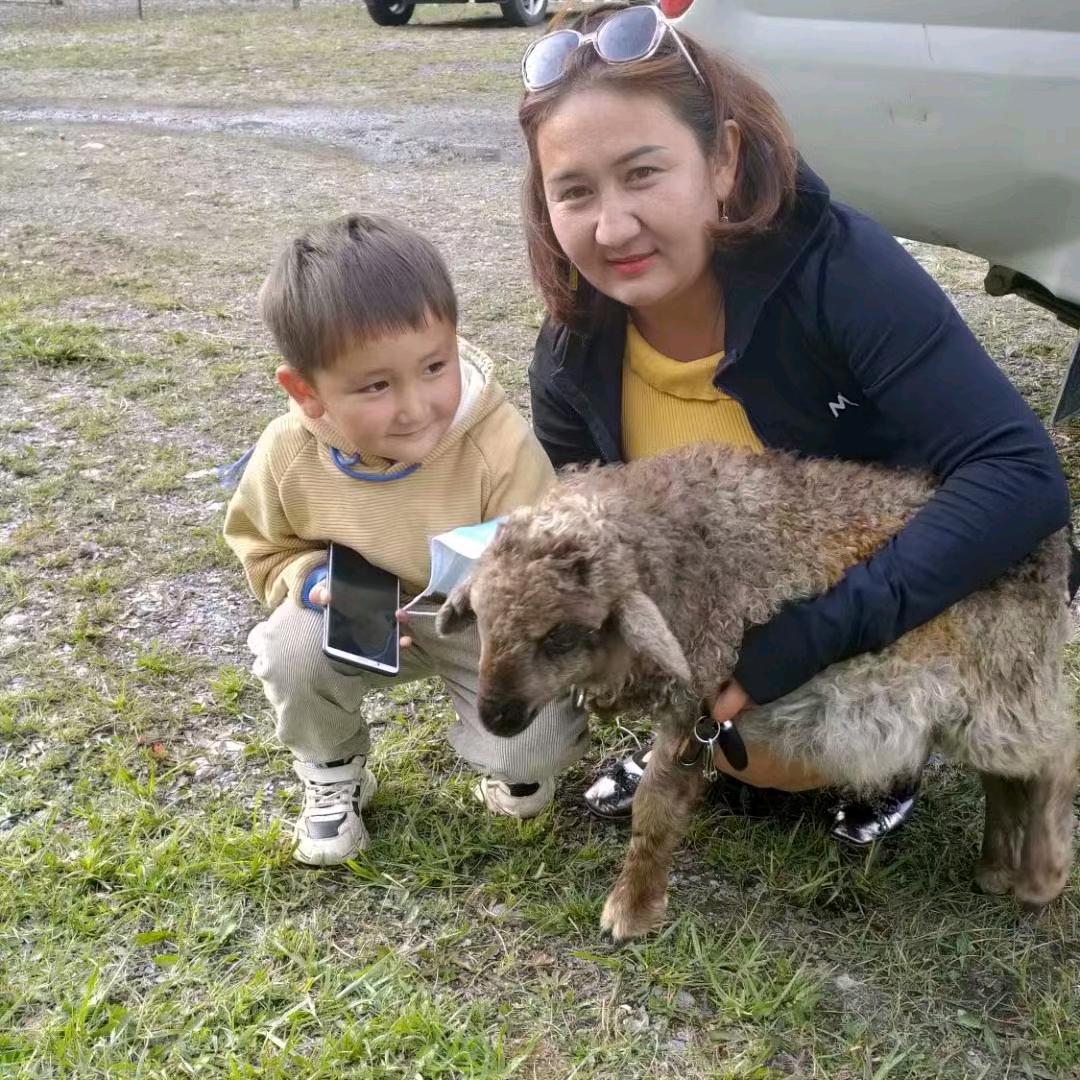 哈孜依