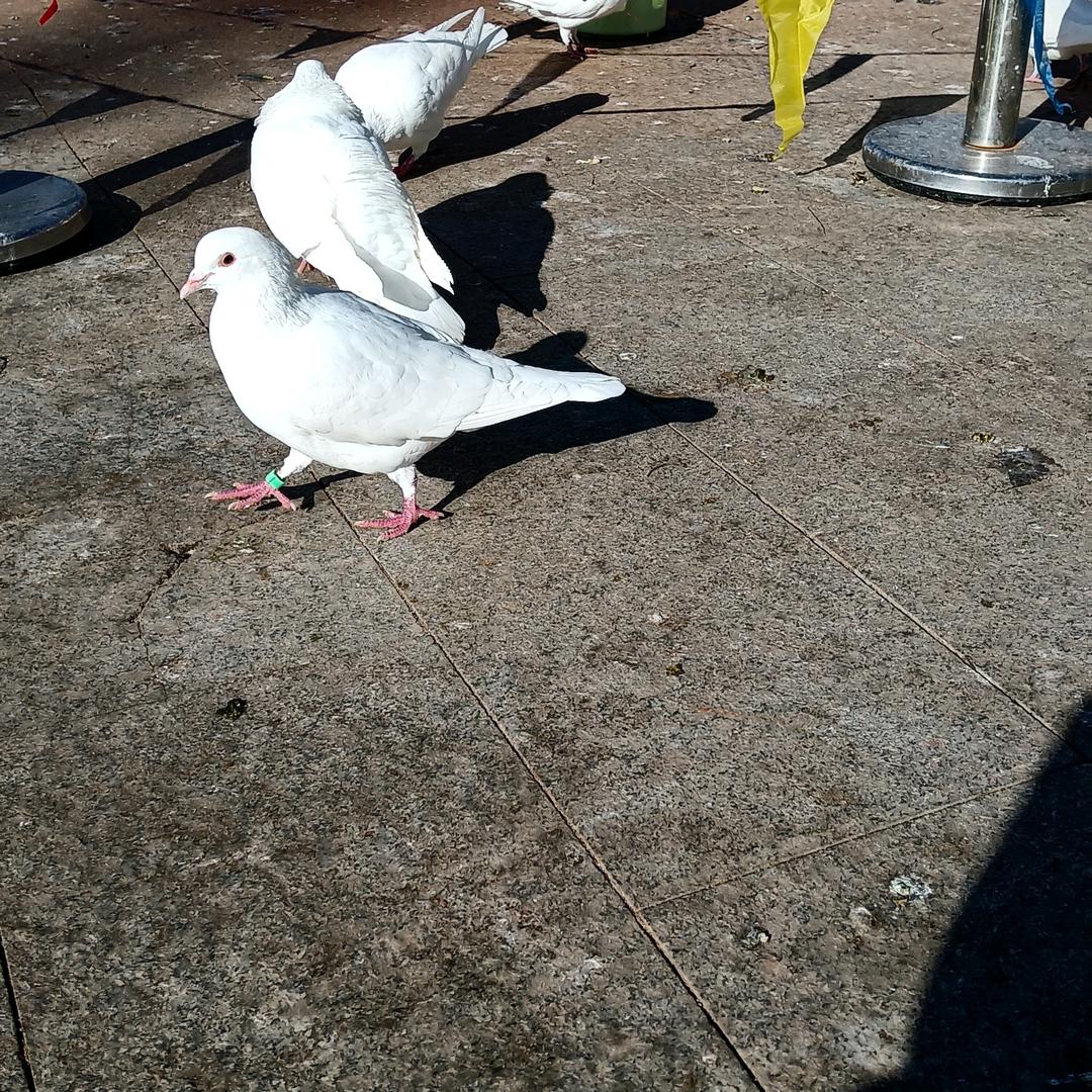 梁晓峰 卫浴 定制批发