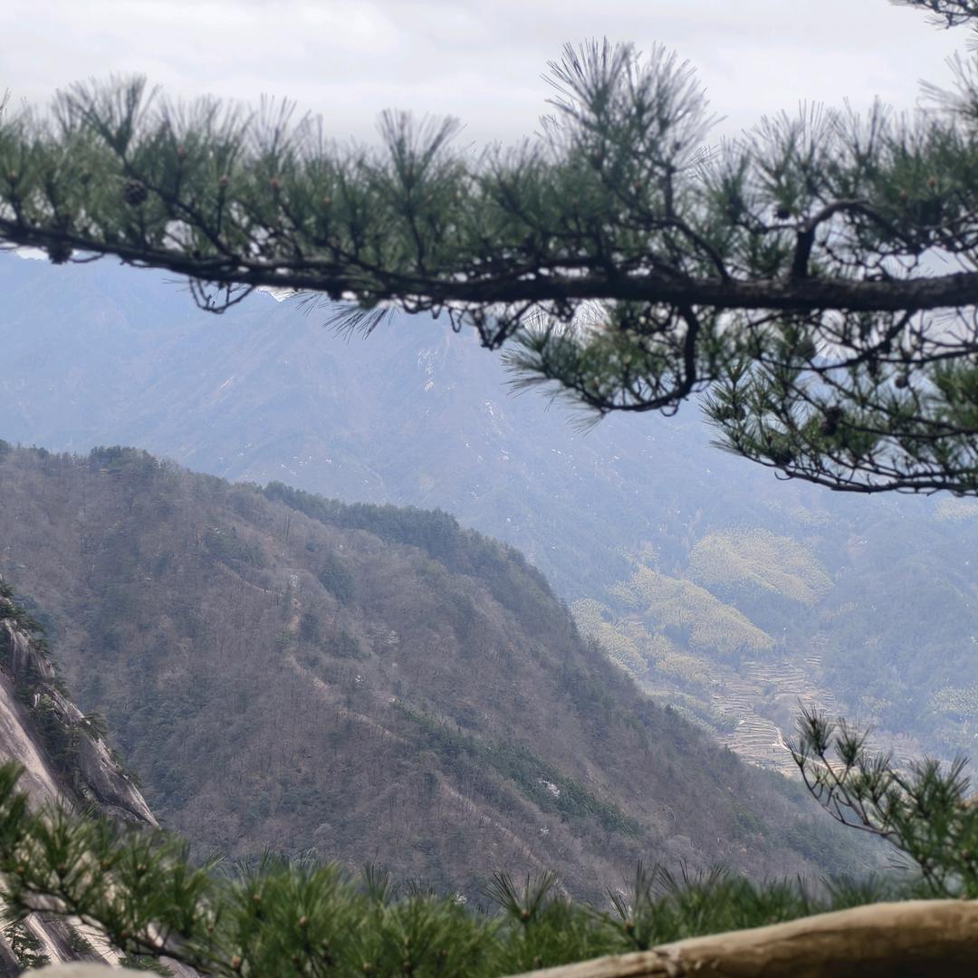 潇潇不语