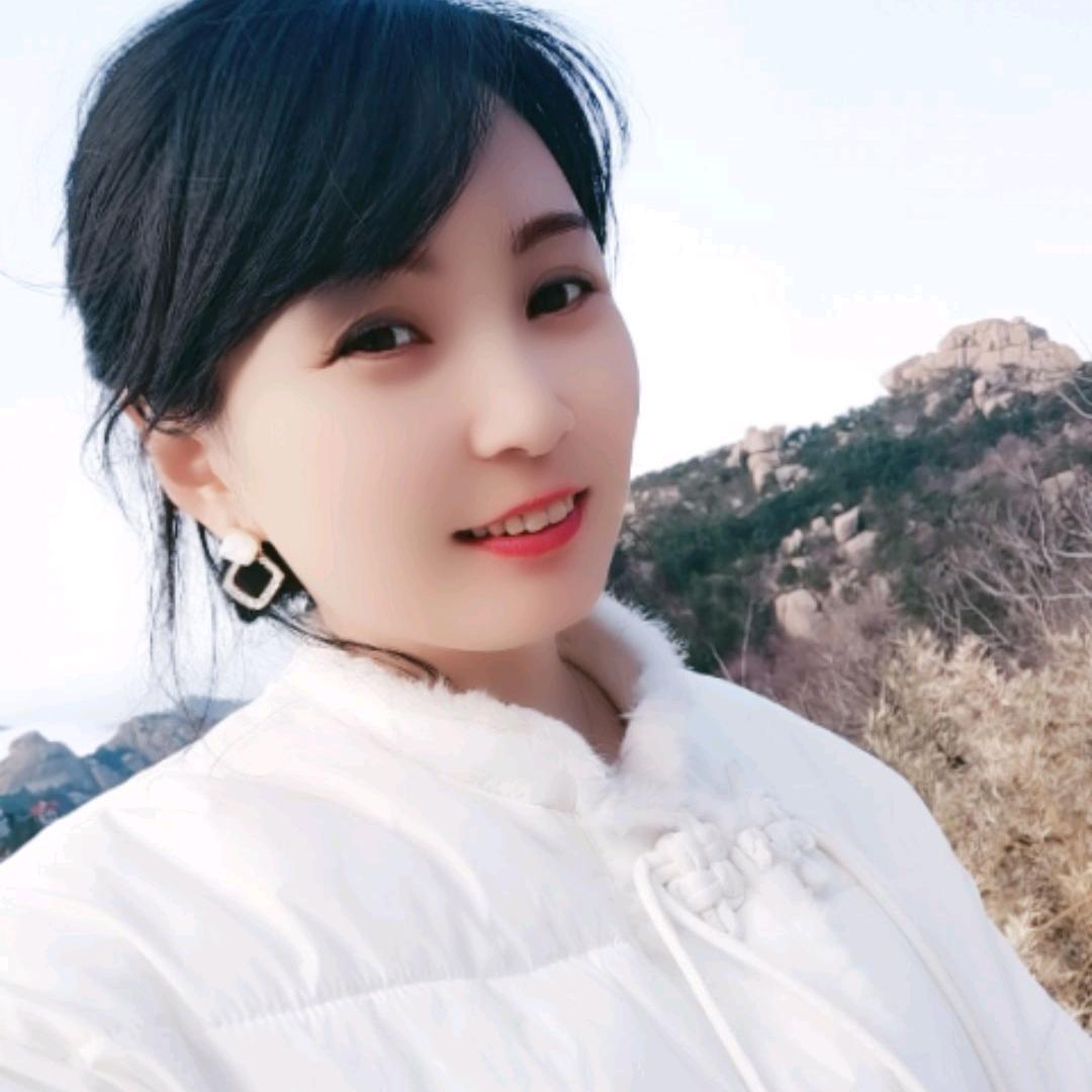 泰•雨林