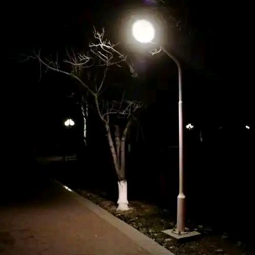 夜晚努力奔跑的蛙