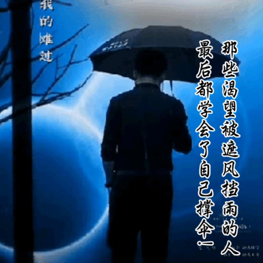 青风明月