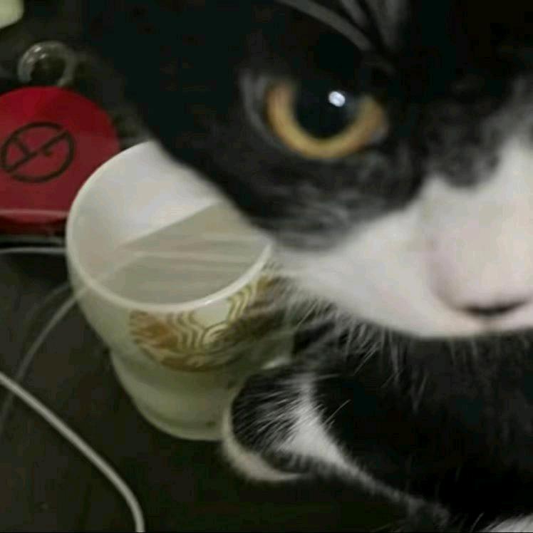 你有没有可乐喝