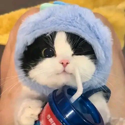 小小哥