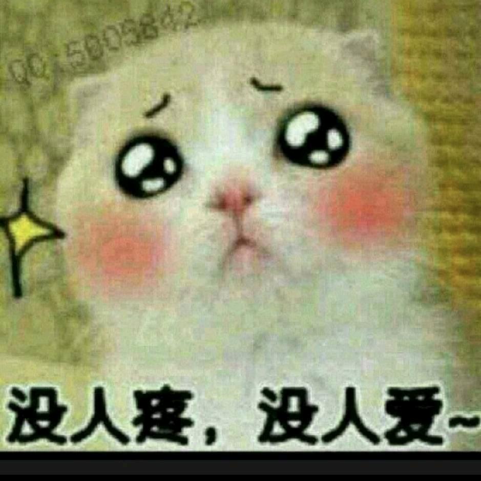 情愿♡爱你