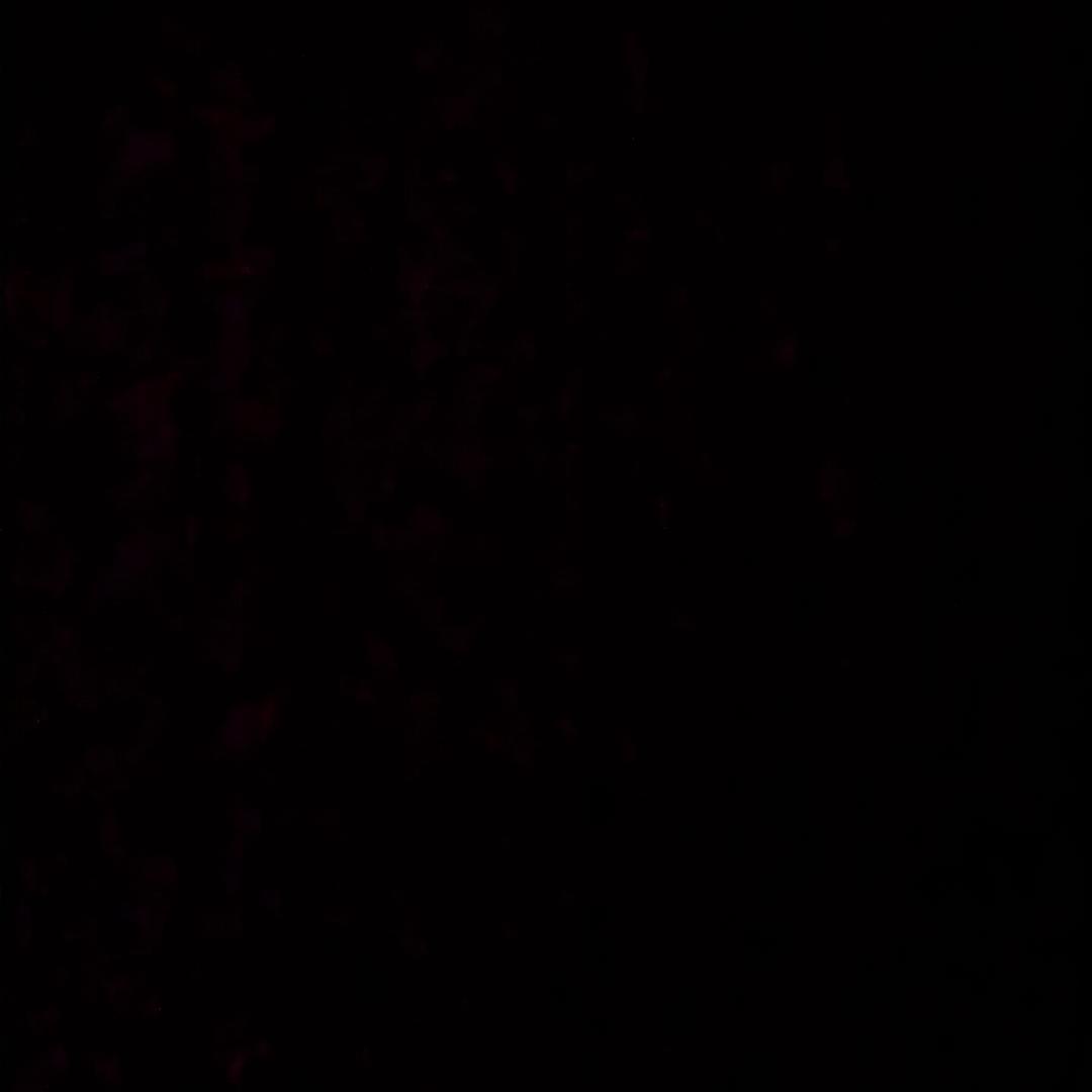 我叫李三岁。