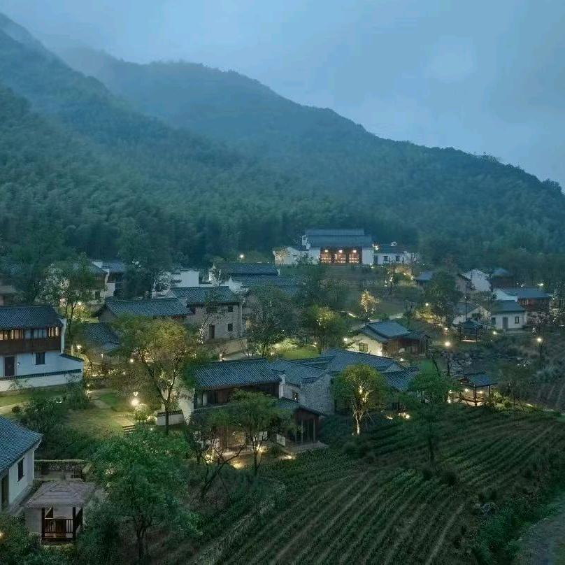 设计师YANG(小镇青年)