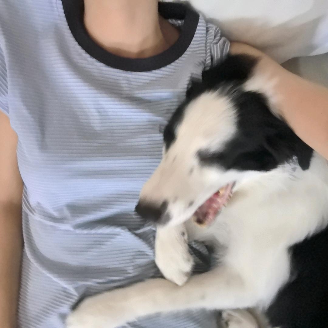 汤圆儿不贪吃