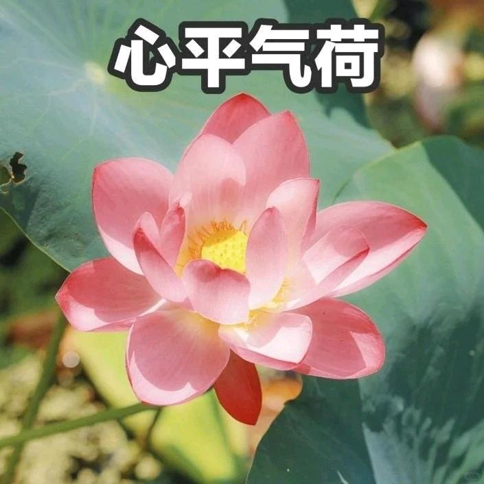 金领冠宝贝加油站-皇婴汇惠州区