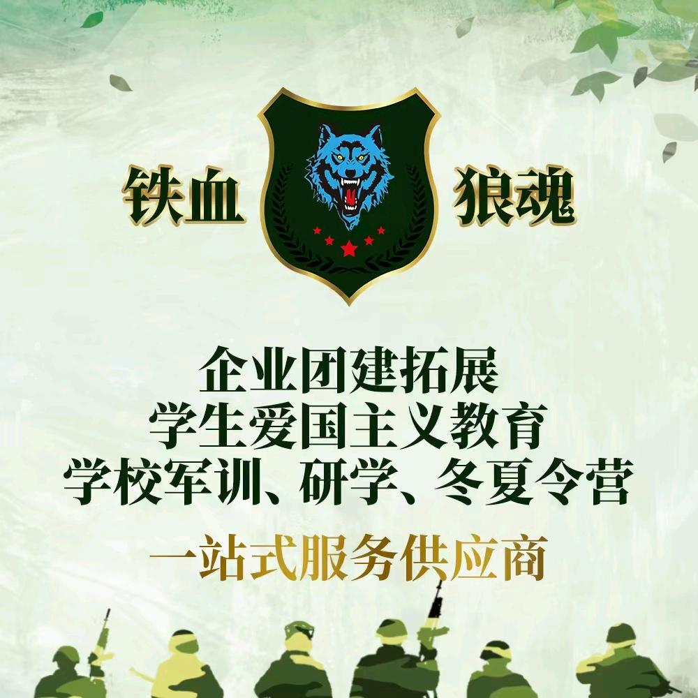 铁血狼魂