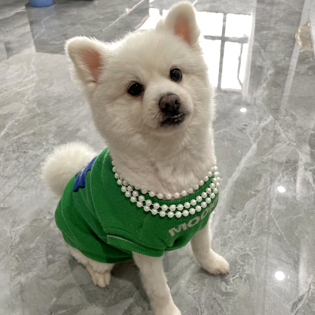 不痛不痒
