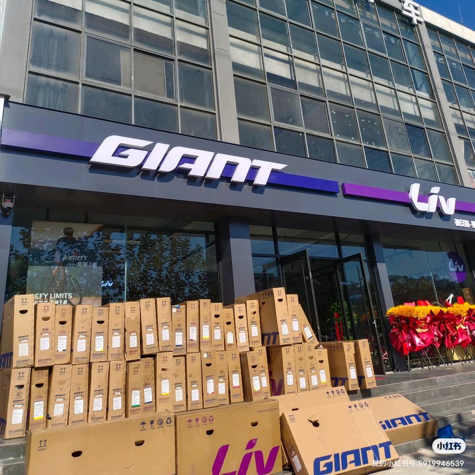 捷安特河东(荣盛店)