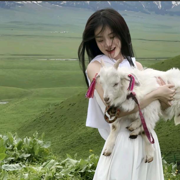 秋景琦