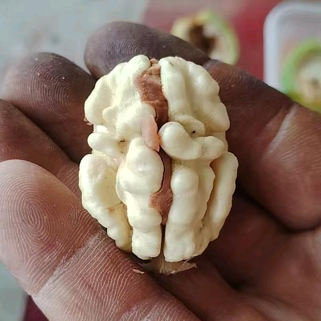 琼肴鲜果