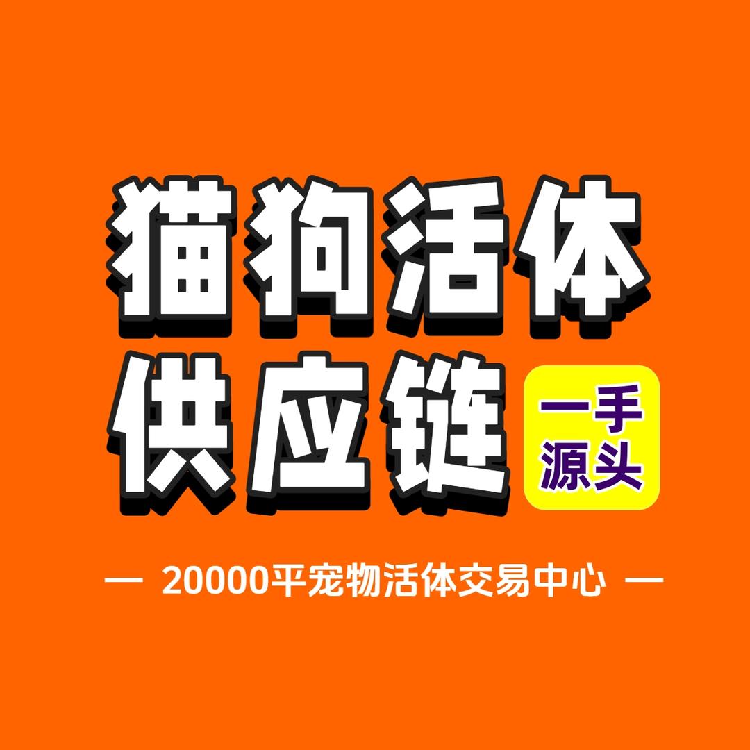 鹏鹏｜咕得咪宠物基地