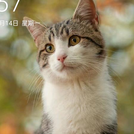 星期八