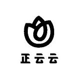 正云云精选