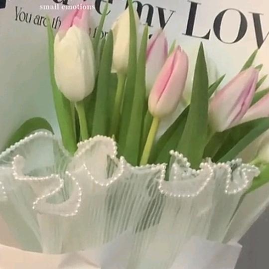 连云港馨怡鲜切花