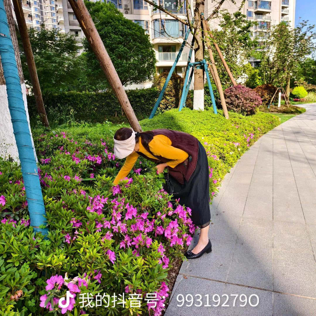 老来好