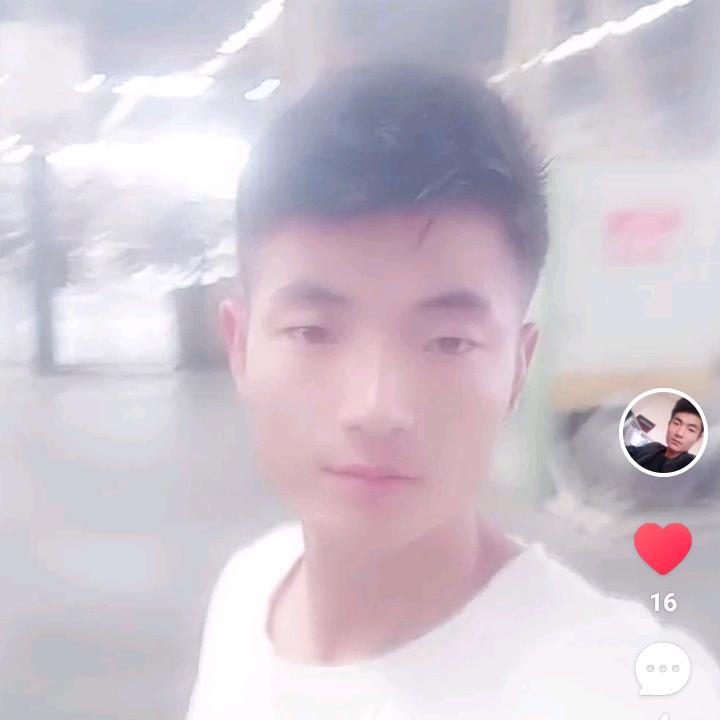 金牛