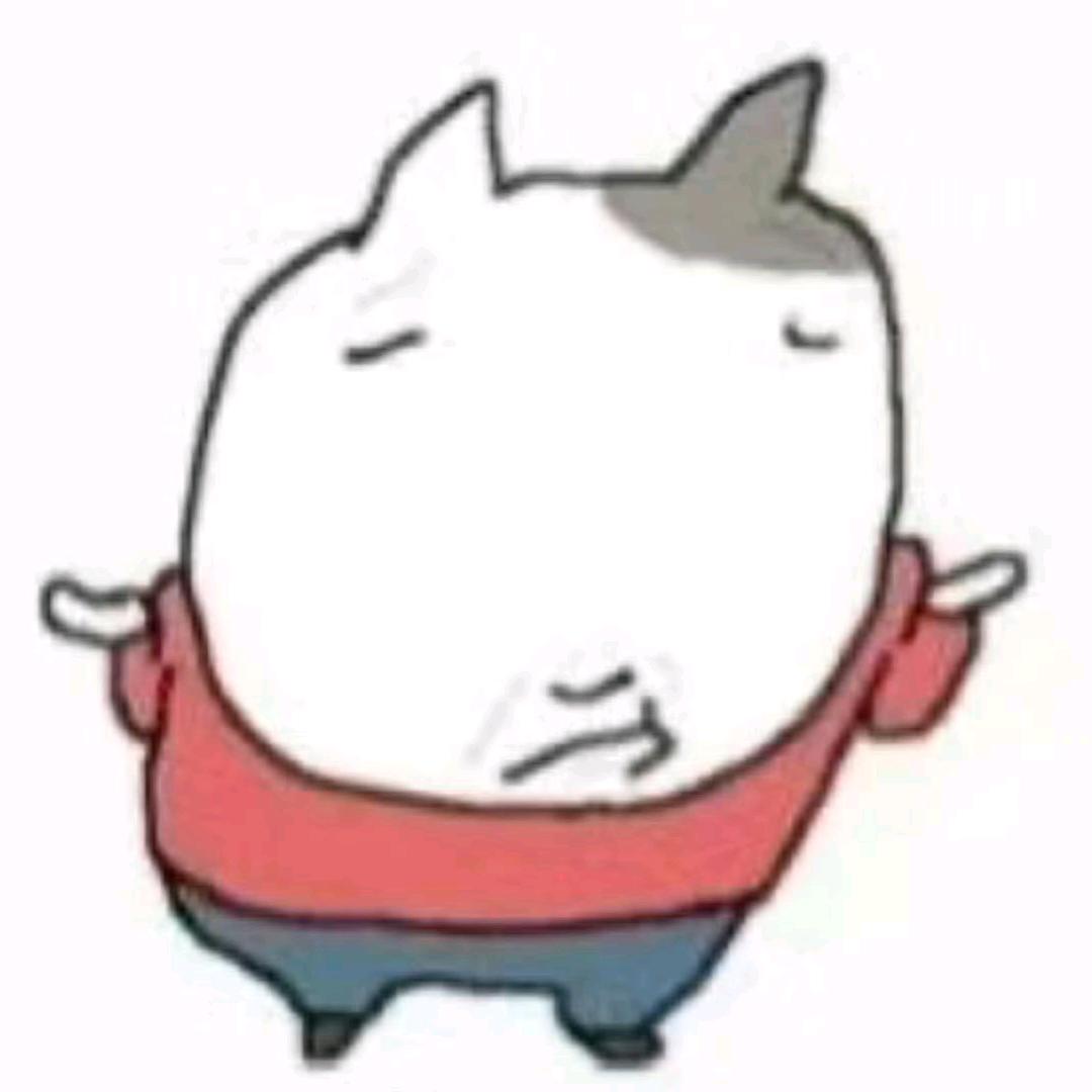 皮衣（流量回家）
