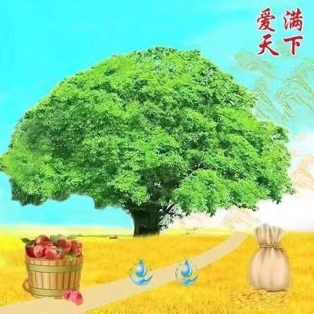 心若安然