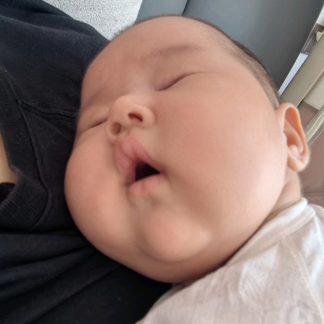 桐锣烧