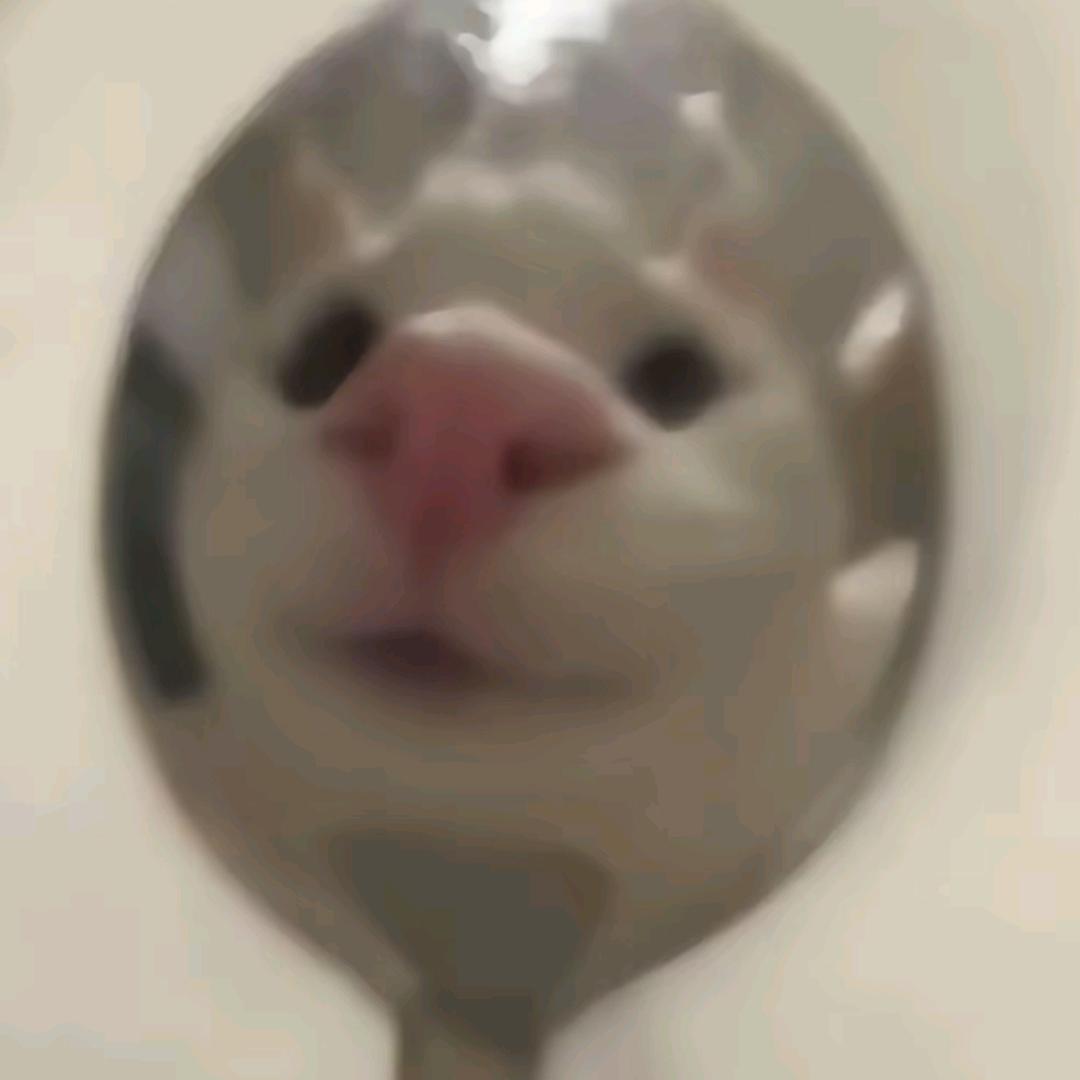 菇菇菇j