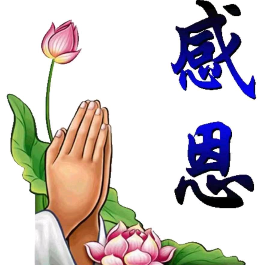 感恩一切
