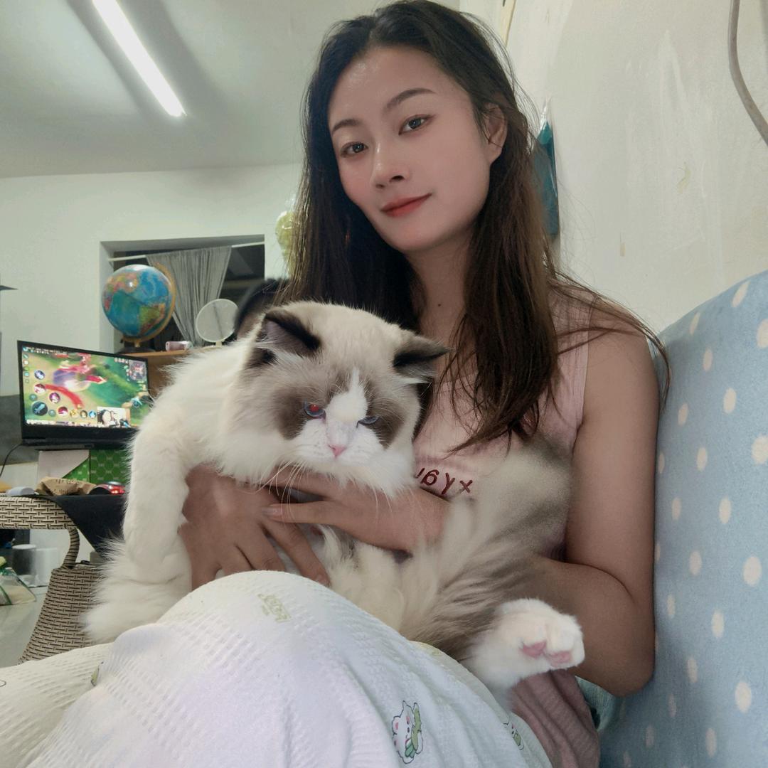 金喜伴手礼私人订制