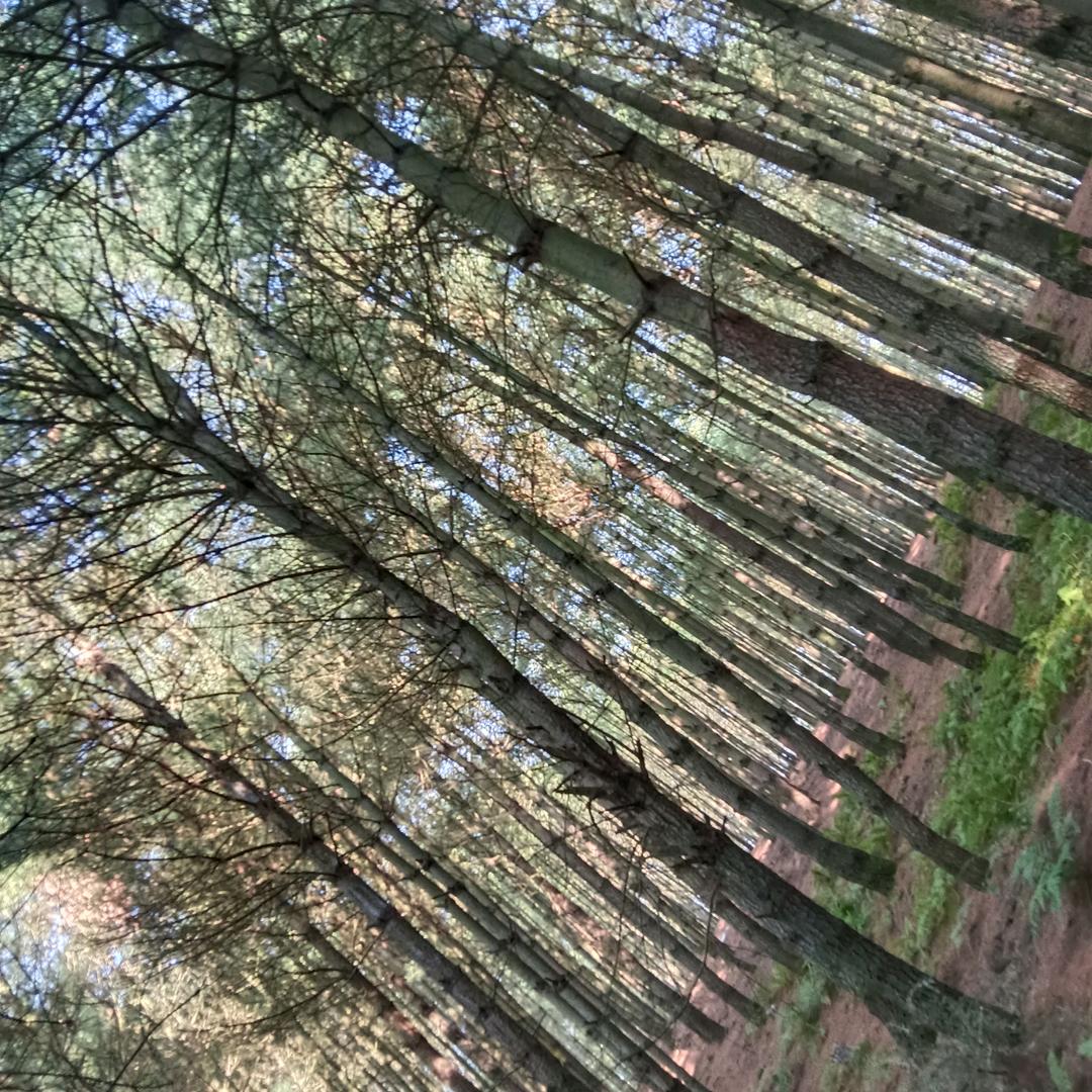 适应度
