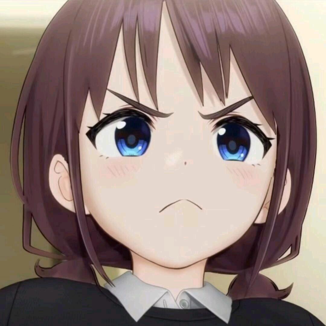 小猫会遗憾吗