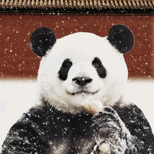 金帛