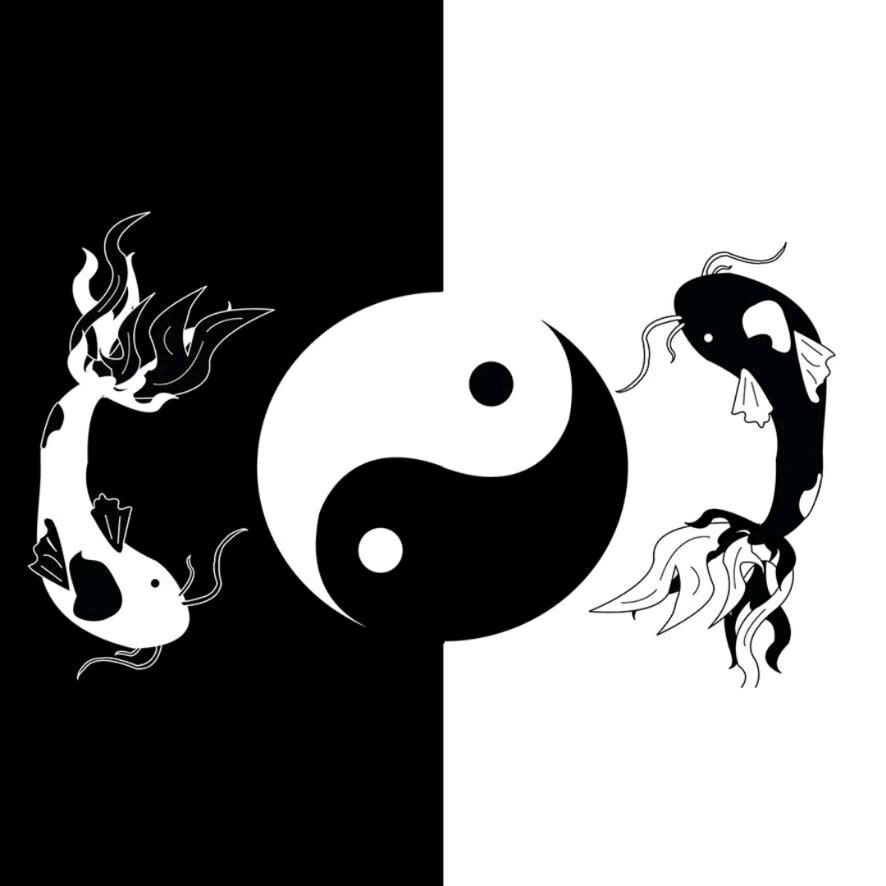 无限？循环