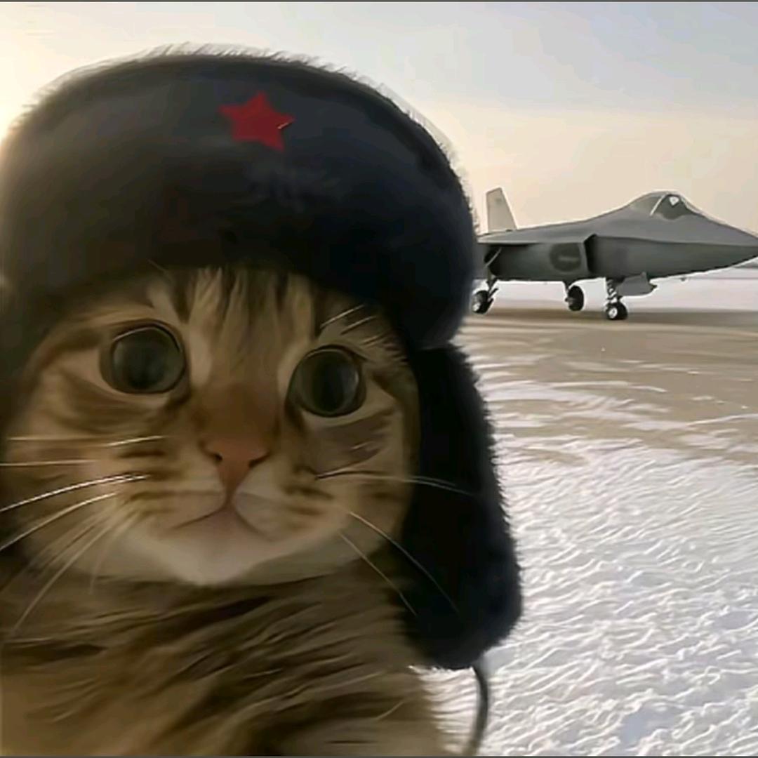 是烤红芋还是烤地瓜🍠