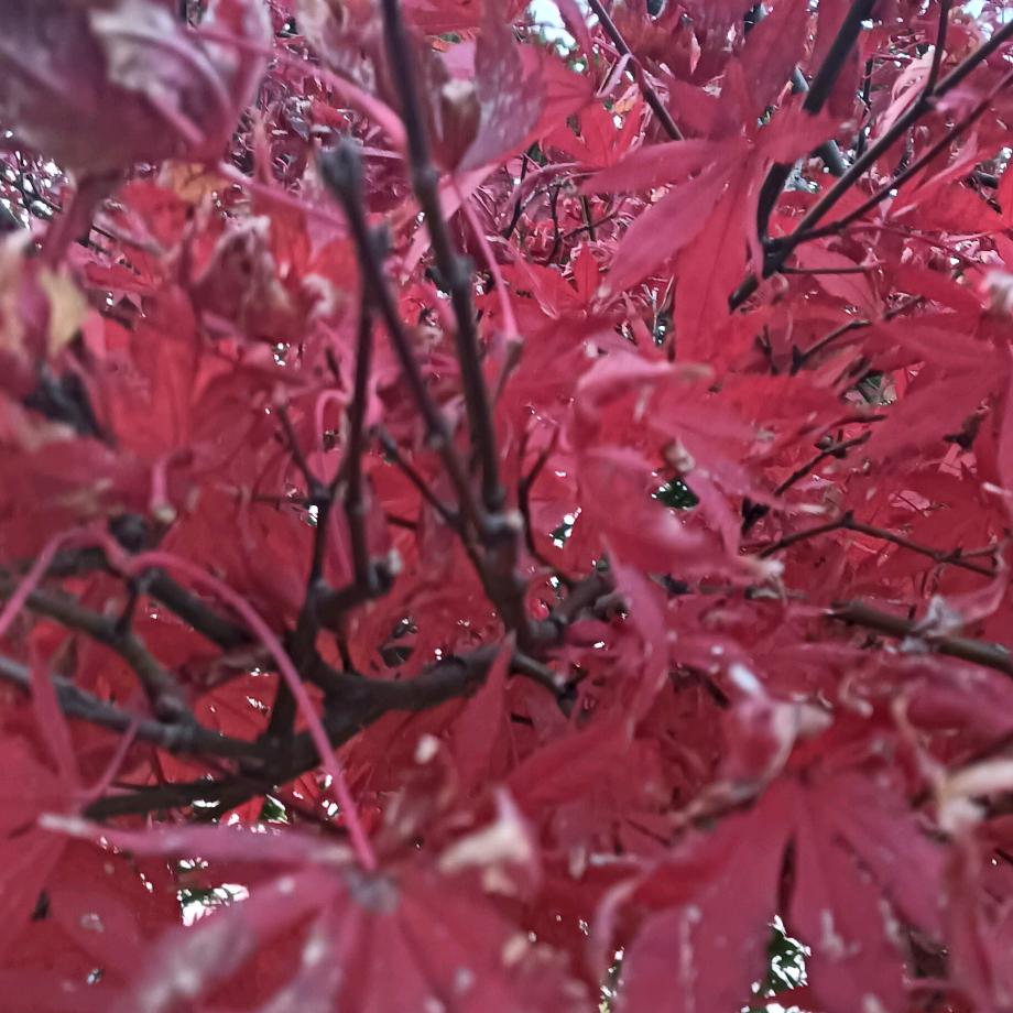 做个开心快乐每一天