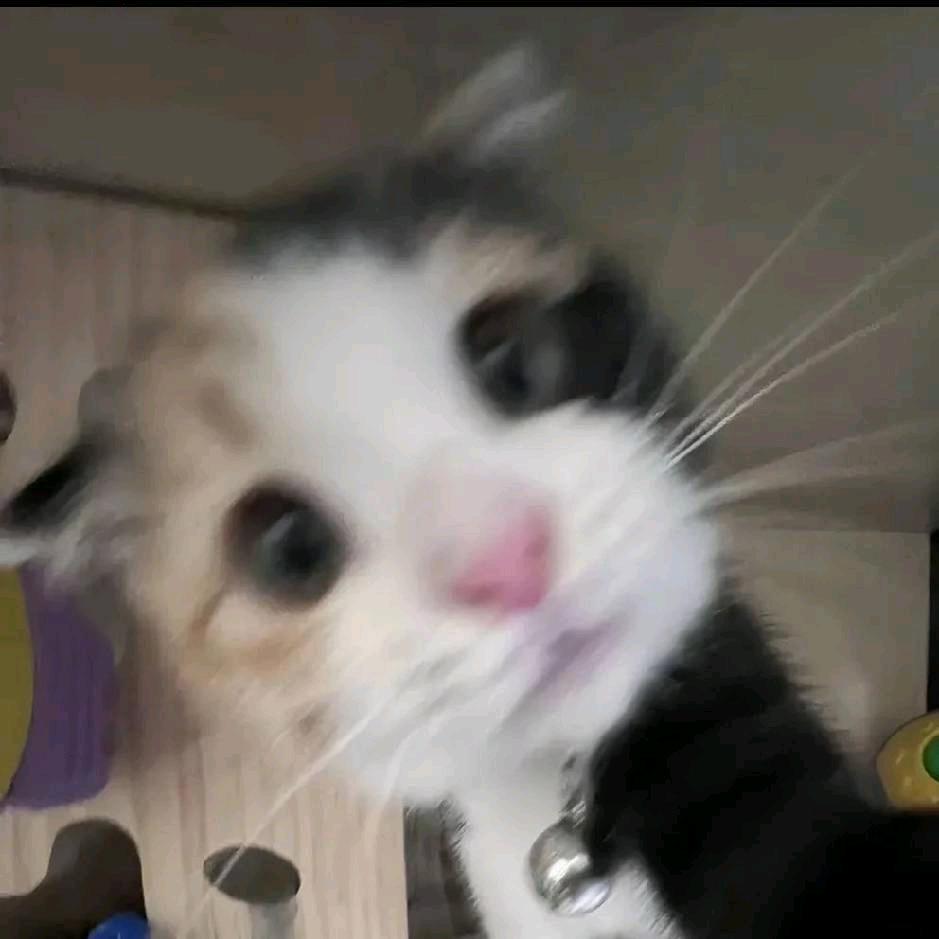 桉诺